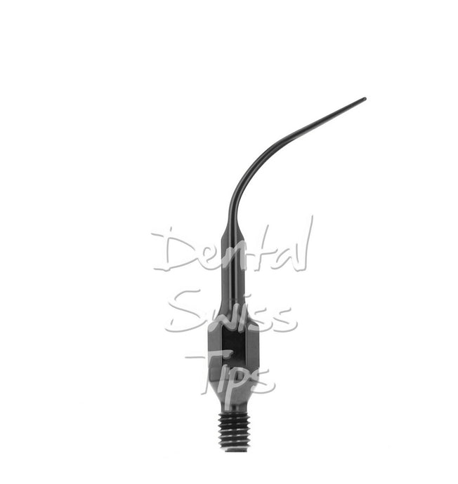 Profil SDLC (Pour W&H)